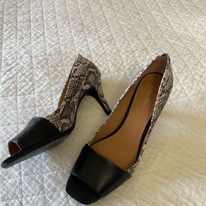 New! Calvin Klein Nareen snake skin